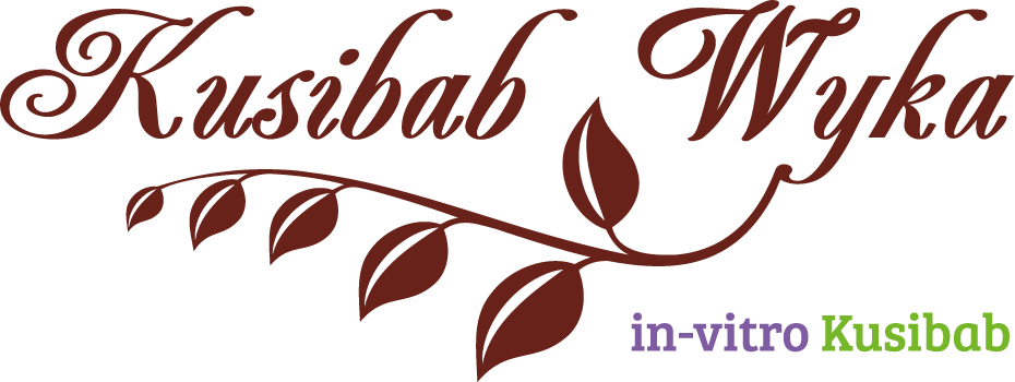 kusibab-wyka-ik_logo_RGB